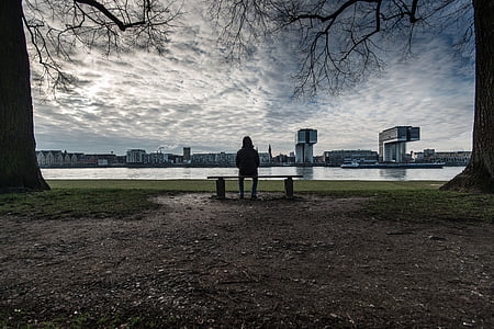person sitting on bench between leafless trees thumbnail