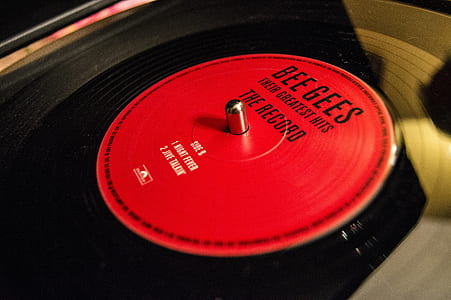Bee Gees vinyl disc thumbnail