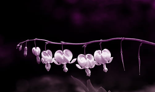 gray flower decors on rack thumbnail