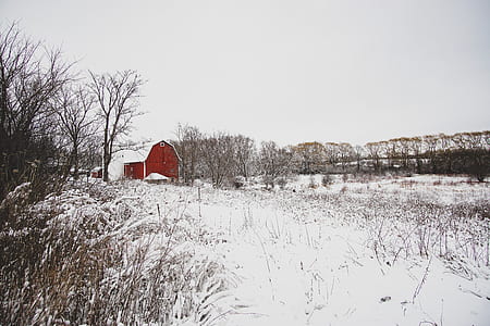 red and white barn covered with snow thumbnail
