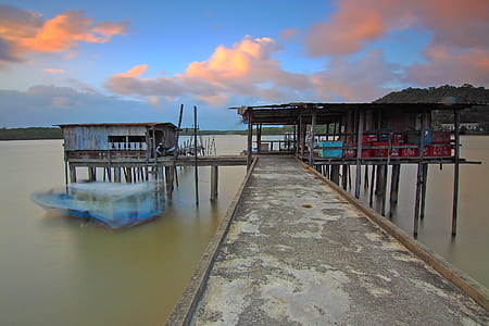 wood, jetty, sea, dawn thumbnail