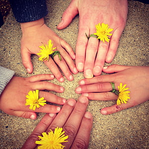five yellow dandelion rings thumbnail