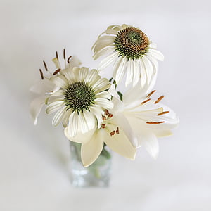 white petal flowers in vase thumbnail