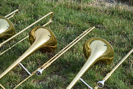 three trombones on grass field thumbnail