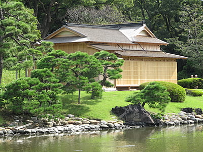 house beside river thumbnail