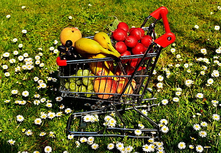 variety of fruits in shopping cart thumbnail