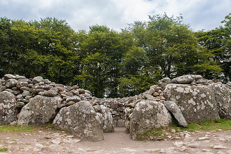 gray stones beside tall trees thumbnail
