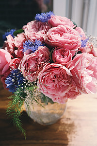 pink and blue petaled flowers thumbnail