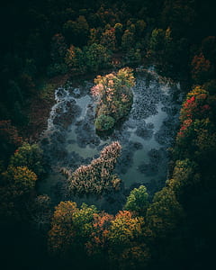 aerial photography of green trees on body of water during daytime thumbnail