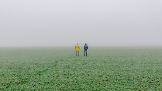 two person standing on green grass field with fogs thumbnail
