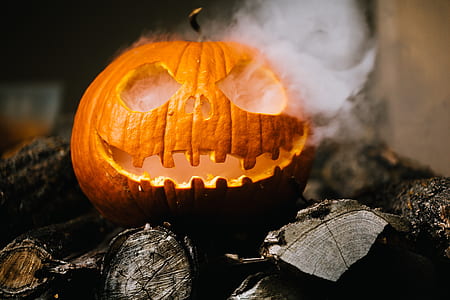 selective focus photography of orange pumpkin decor thumbnail