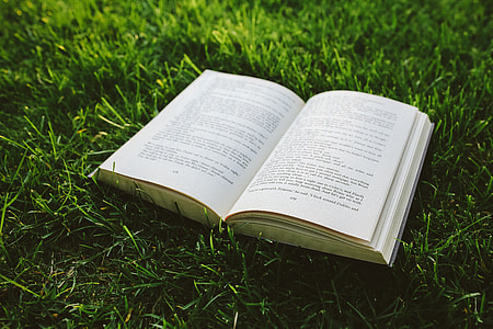 Book on the grass thumbnail