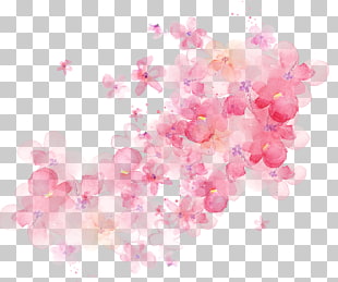 Flower Watercolor painting, Watercolor flowers shading, pink petaled flowers PNG clipart