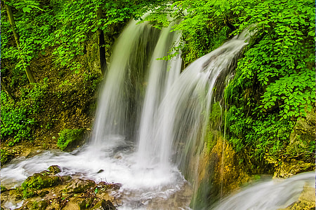 waterfalls with green leaf trees thumbnail