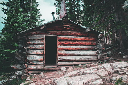 Brown and Grey Wooden House Beside Green Leaf Tall Tree thumbnail