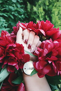 person's hand putting on red petaled flowers thumbnail