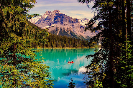 forest with a view of mountain near body of water thumbnail