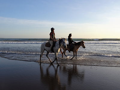 two woman riding horse near seashore during daytime thumbnail