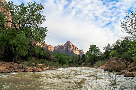 green leafed trees beside a river thumbnail