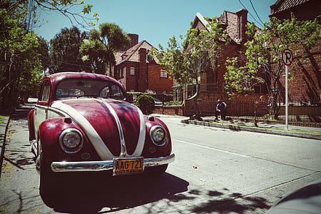 parked red Volkswagen Beetle coupe thumbnail