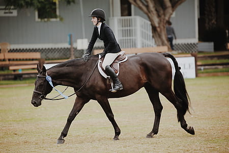 Woman Riding Horse thumbnail