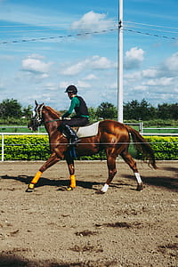 Man Riding Hors thumbnail