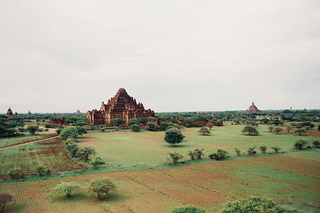 An ancient temples in the forest surrounded by trees thumbnail