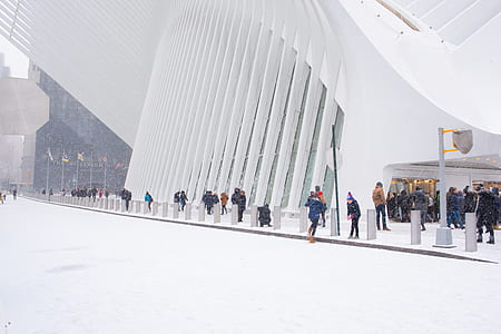 group of people standing beside white building thumbnail