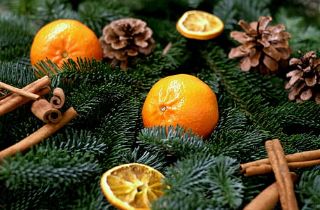 orange fruit and pinecone thumbnail