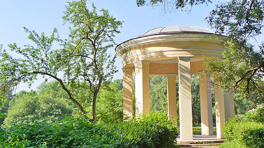 white gazebo surrounded by plants thumbnail