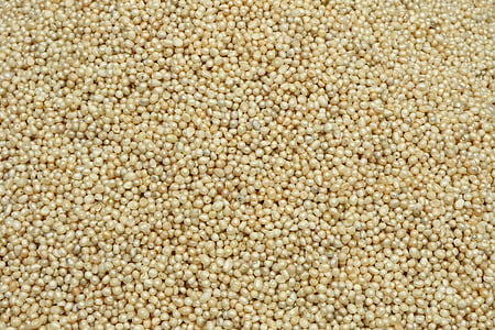 brown beans thumbnail