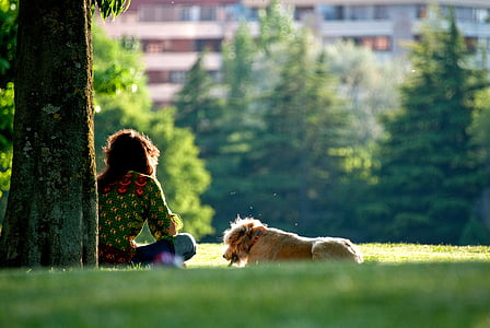 woman sitting under tree with dog thumbnail