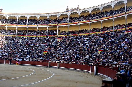 people gathering on stadium waving their flag during daytime thumbnail