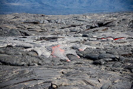 lava field during daytime thumbnail