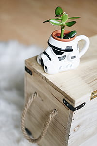 selective focus photography of Stormtrooper plant pot on brown wooden box thumbnail