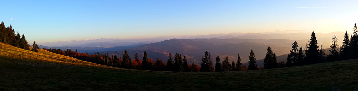 landscape photo of silhouette of pine trees at daytime thumbnail