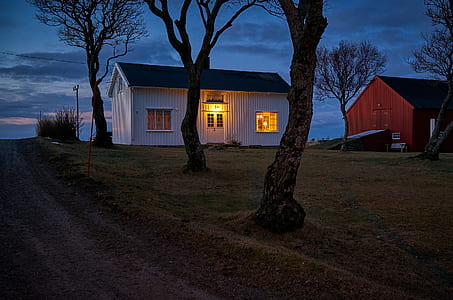 house near tree thumbnail