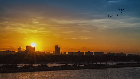 silhouette of cityscape near the body of water thumbnail