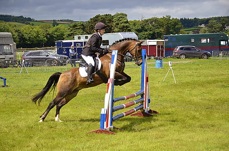 person ride horse while jumping on midair thumbnail