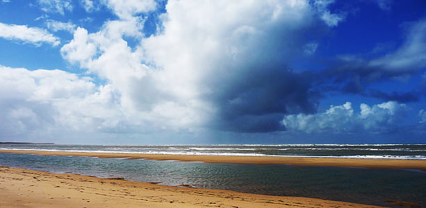 sea shore and body of water thumbnail