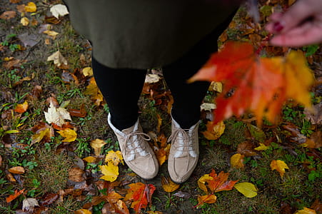 Person Standing on Fallen Leaves thumbnail