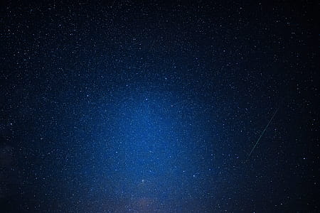 A trees under the starry sky thumbnail