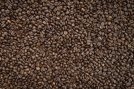 Texture of coffee beans thumbnail