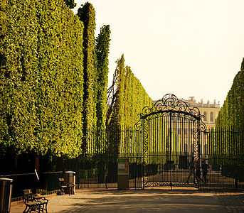 black metal gate between green leaf trees thumbnail