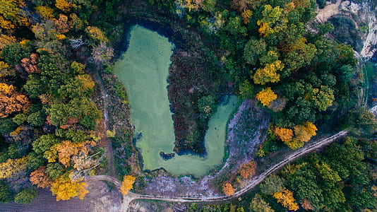 aerial photography of body of water surrounded by trees thumbnail