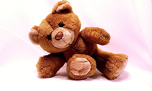 brown bear plush toy thumbnail