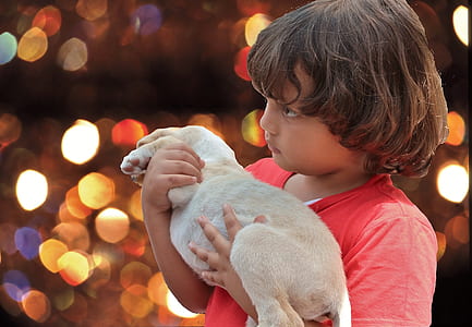 boy carrying puppy photography thumbnail