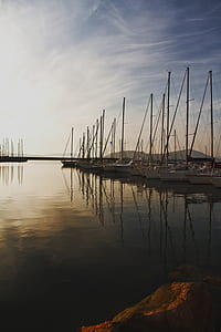 assorted white speedboat lot on body of water thumbnail