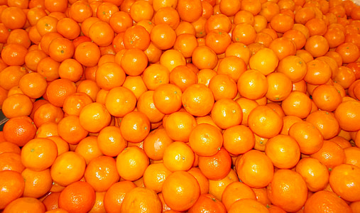 bunch of orange fruits thumbnail