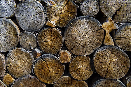 closeup photo of pile gray logs thumbnail
